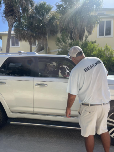 This image has an empty alt attribute; its file name is image.png